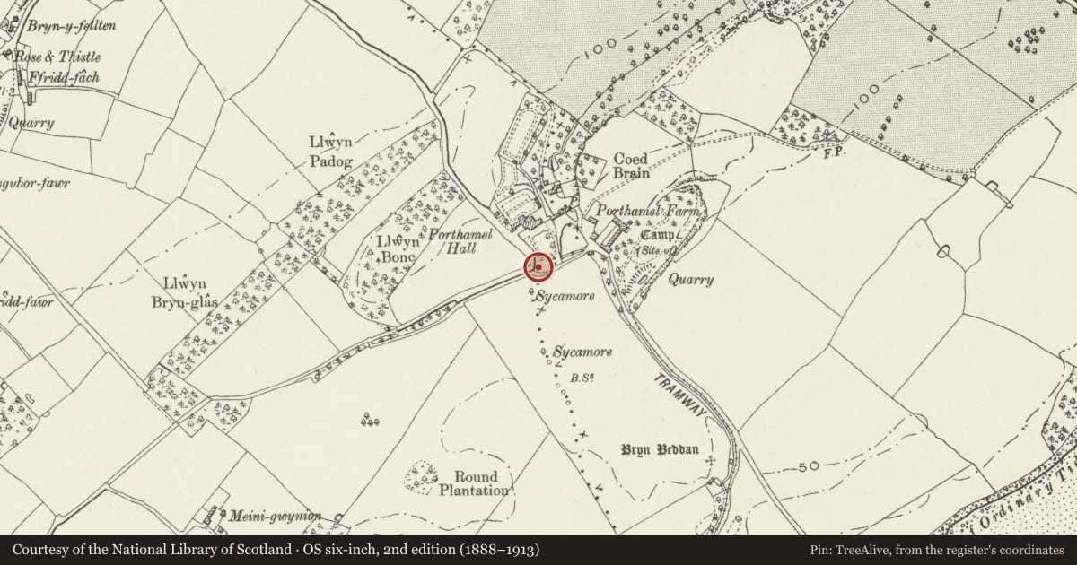 Ordnance Survey six-inch map, 2nd edition (1888–1913) covering the location of Privy tower at Porthamel, Llanidan, Isle of Anglesey, with a pin at the register's coordinates
