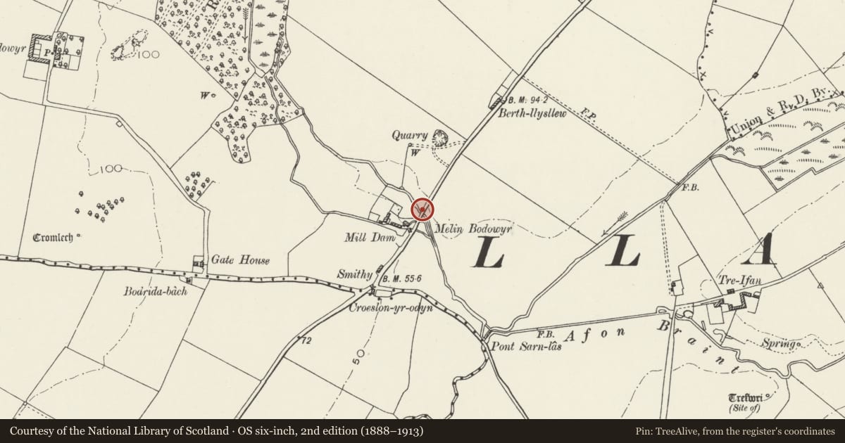 Ordnance Survey six-inch map, 2nd edition (1888–1913) covering the location of Pont Melin Bodowyr, Llanidan, Isle of Anglesey, with a pin at the register's coordinates