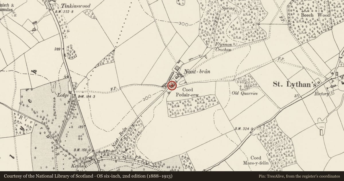 Ordnance Survey six-inch map, 2nd edition (1888–1913) covering the location of Former Bull Shed at Nant Bran Farm, Wenvoe, Vale of Glamorgan, with a pin at the register's coordinates