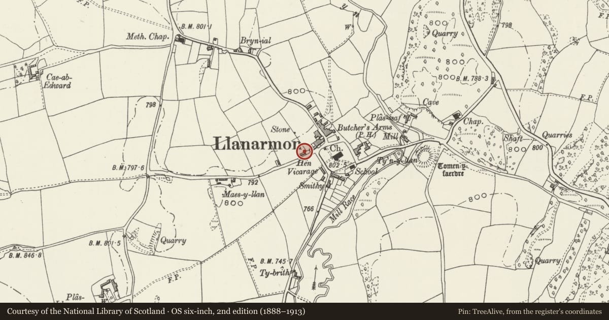 Ordnance Survey six-inch map, 2nd edition (1888–1913) covering the location of Yale Cottage, Llanarmon-yn-Ial, Denbighshire, with a pin at the register's coordinates