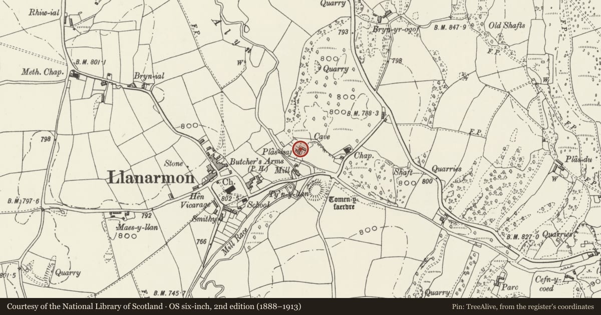 Ordnance Survey six-inch map, 2nd edition (1888–1913) covering the location of Plas Isaf, Llanarmon-yn-Ial, Denbighshire, with a pin at the register's coordinates