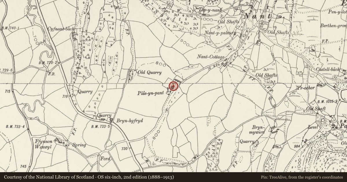 Ordnance Survey six-inch map, 2nd edition (1888–1913) covering the location of Plas yn Pant, Llanarmon-yn-Ial, Denbighshire, with a pin at the register's coordinates