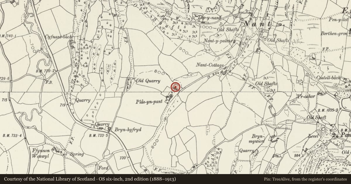 Ordnance Survey six-inch map, 2nd edition (1888–1913) covering the location of Range of Outbuildings to N of Plas yn Pant, Llanarmon-yn-Ial, Denbighshire, with a pin at the register's coordinates
