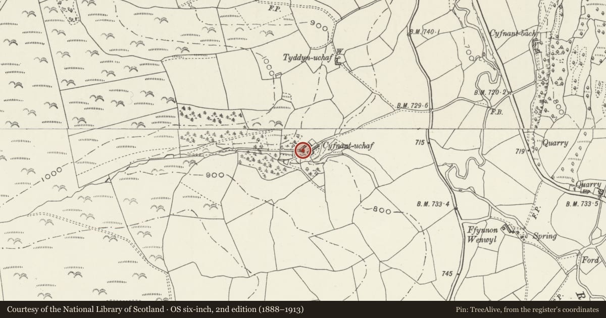 Ordnance Survey six-inch map, 2nd edition (1888–1913) covering the location of Cartshed and Granary at Cyfnant Uchaf, Llanarmon-yn-Ial, Denbighshire, with a pin at the register's coordinates