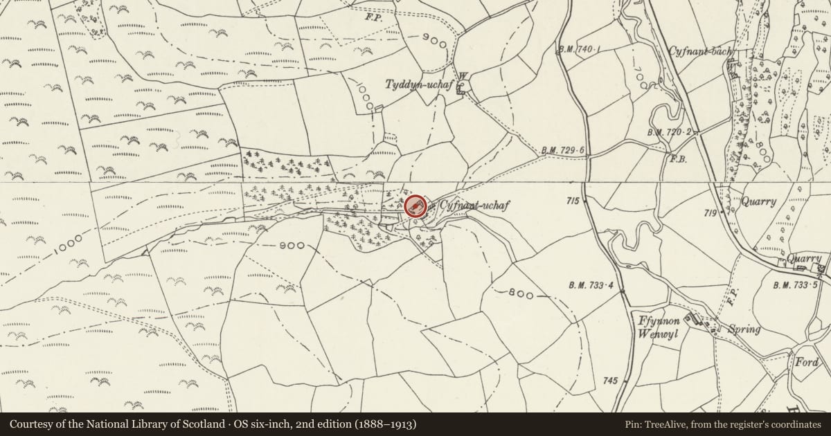 Ordnance Survey six-inch map, 2nd edition (1888–1913) covering the location of Stable at Cyfnant Uchaf, Llanarmon-yn-Ial, Denbighshire, with a pin at the register's coordinates