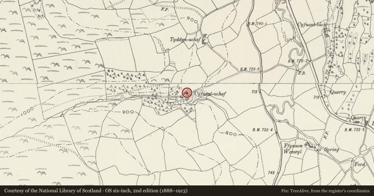 Ordnance Survey six-inch map, 2nd edition (1888–1913) covering the location of Cow-house at Cyfnant Uchaf, Llanarmon-yn-Ial, Denbighshire, with a pin at the register's coordinates