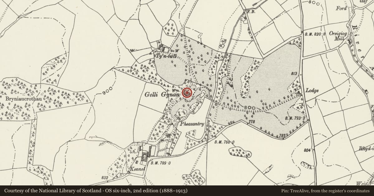 Ordnance Survey six-inch map, 2nd edition (1888–1913) covering the location of Gelli Gynan Hall, Llanarmon-yn-Ial, Denbighshire, with a pin at the register's coordinates