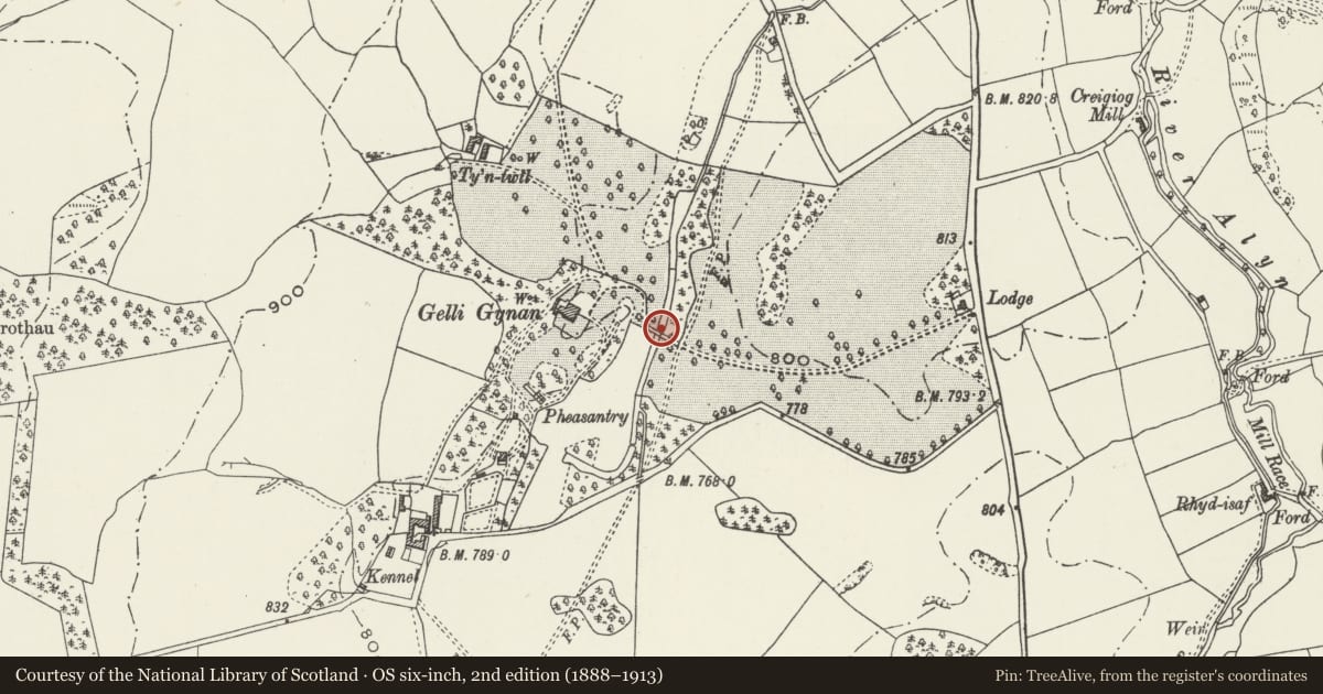 Ordnance Survey six-inch map, 2nd edition (1888–1913) covering the location of Bridge on drive to Gelli Gynan Hall, Llanarmon-yn-Ial, Denbighshire, with a pin at the register's coordinates