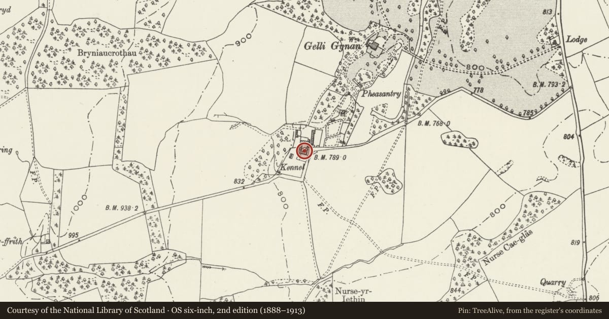 Ordnance Survey six-inch map, 2nd edition (1888–1913) covering the location of Gelli Gynan Farmhouse, Llanarmon-yn-Ial, Denbighshire, with a pin at the register's coordinates