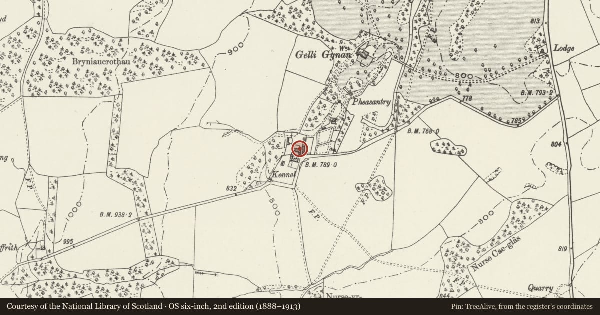 Ordnance Survey six-inch map, 2nd edition (1888–1913) covering the location of Range of Outbuildings attached to Gelli Gynan Farmhouse, Llanarmon-yn-Ial, Denbighshire, with a pin at the register's coordinates