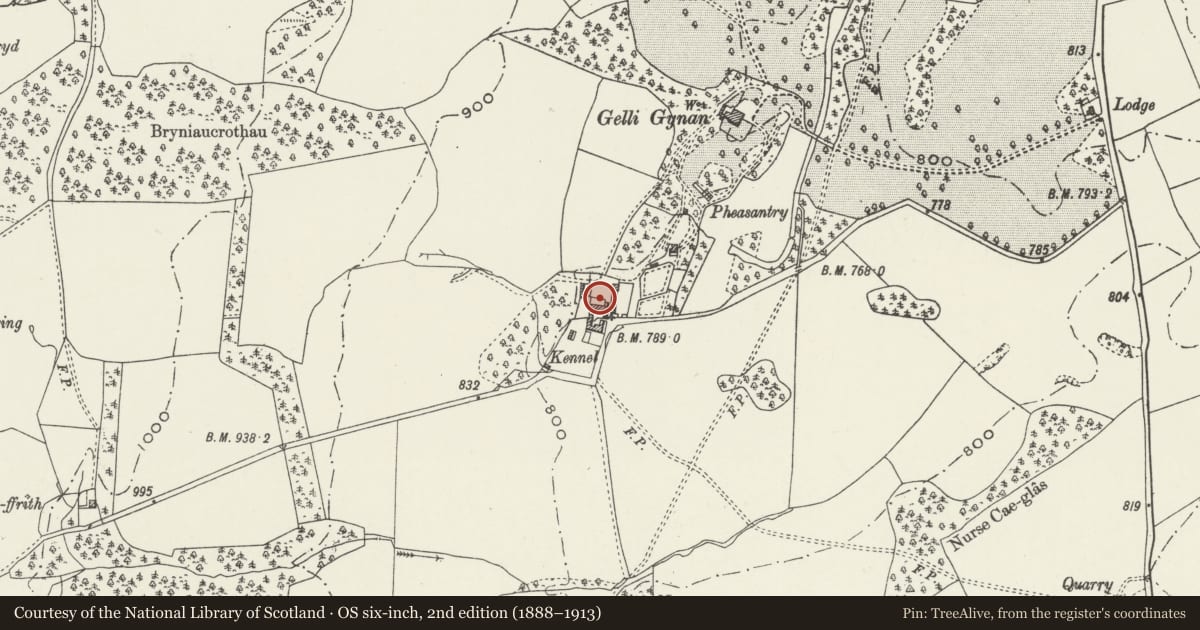 Ordnance Survey six-inch map, 2nd edition (1888–1913) covering the location of Range of Outbuildings to NE of Gelli Gynan Farmhouse, Llanarmon-yn-Ial, Denbighshire, with a pin at the register's coordinates