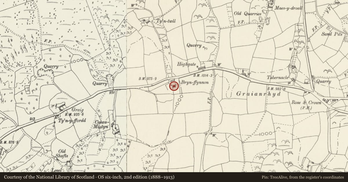 Ordnance Survey six-inch map, 2nd edition (1888–1913) covering the location of Bryn Ffynnon, Llanarmon-yn-Ial, Denbighshire, with a pin at the register's coordinates