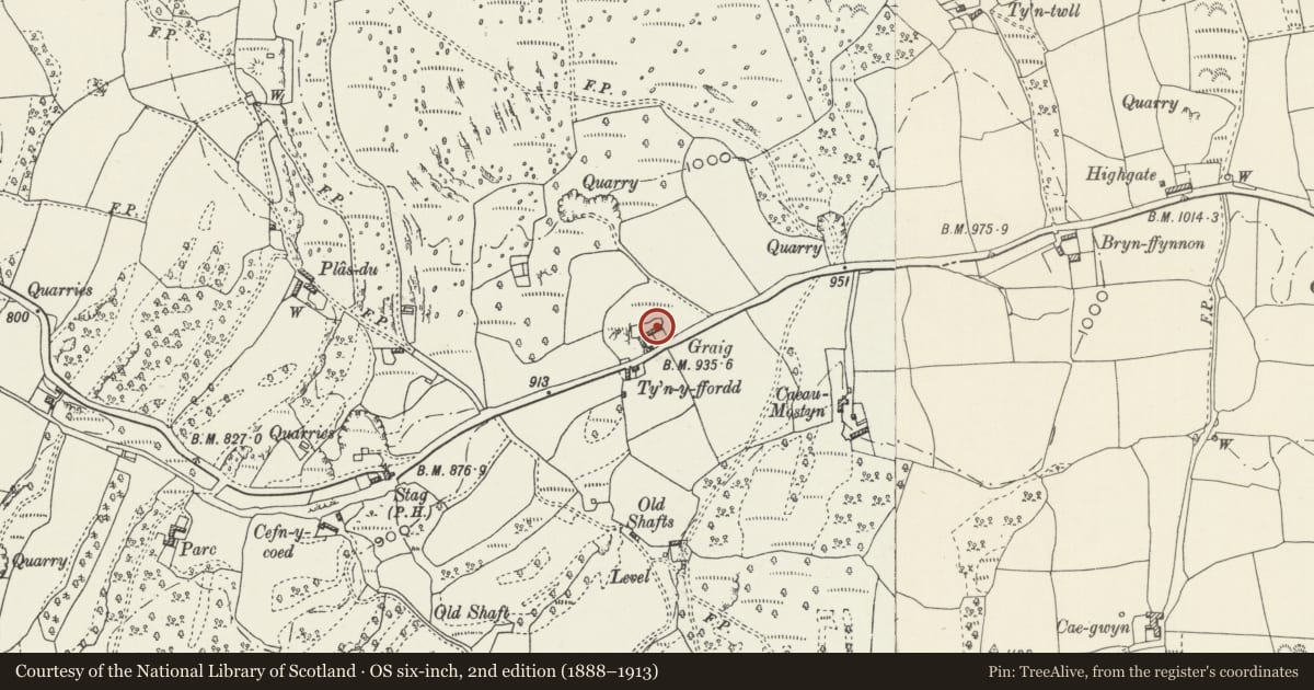 Ordnance Survey six-inch map, 2nd edition (1888–1913) covering the location of Graig Farmhouse and Outbuildings, Llanarmon-yn-Ial, Denbighshire, with a pin at the register's coordinates