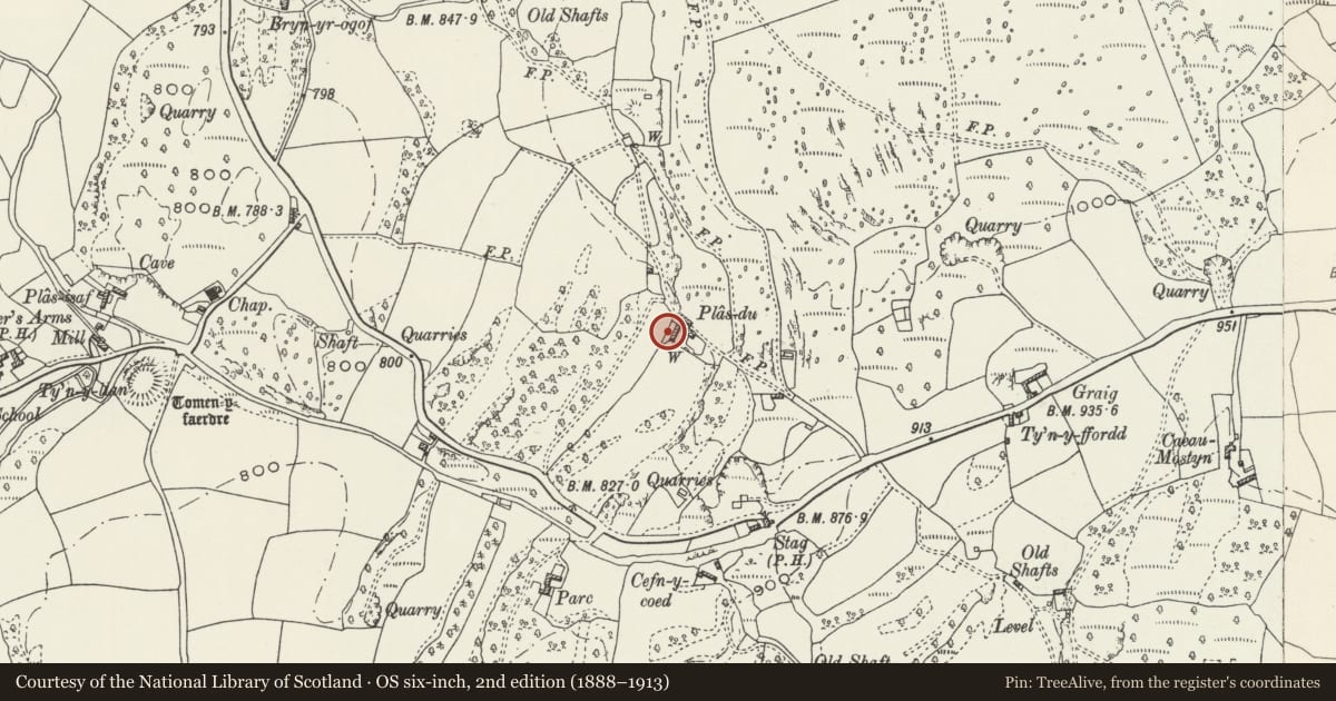 Ordnance Survey six-inch map, 2nd edition (1888–1913) covering the location of Plas Du, Llanarmon-yn-Ial, Denbighshire, with a pin at the register's coordinates