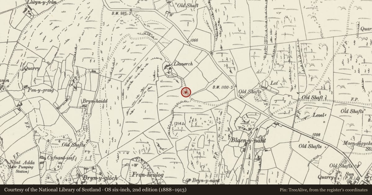 Ordnance Survey six-inch map, 2nd edition (1888–1913) covering the location of Lime Kiln S of Llanerch, Llanarmon-yn-Ial, Denbighshire, with a pin at the register's coordinates