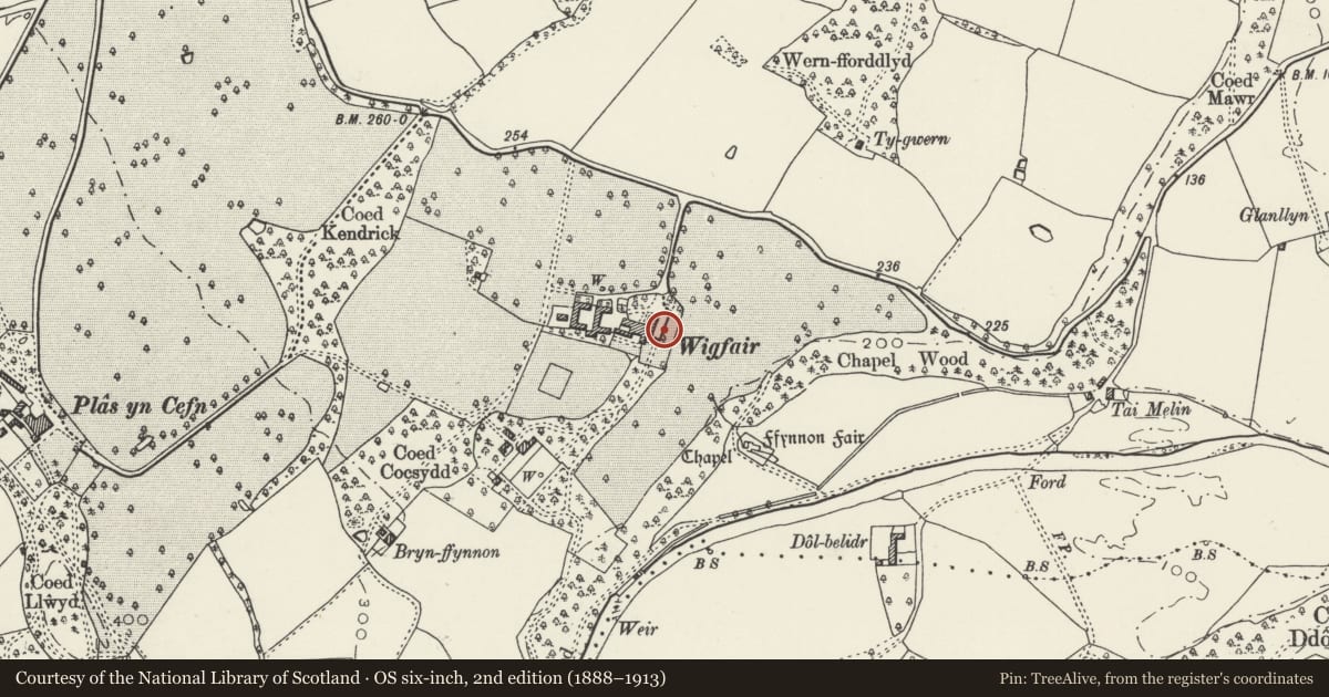 Ordnance Survey six-inch map, 2nd edition (1888–1913) covering the location of Terraces and Forecourt Walls at Wigfair Hall, Cefnmeiriadog, Denbighshire, with a pin at the register's coordinates