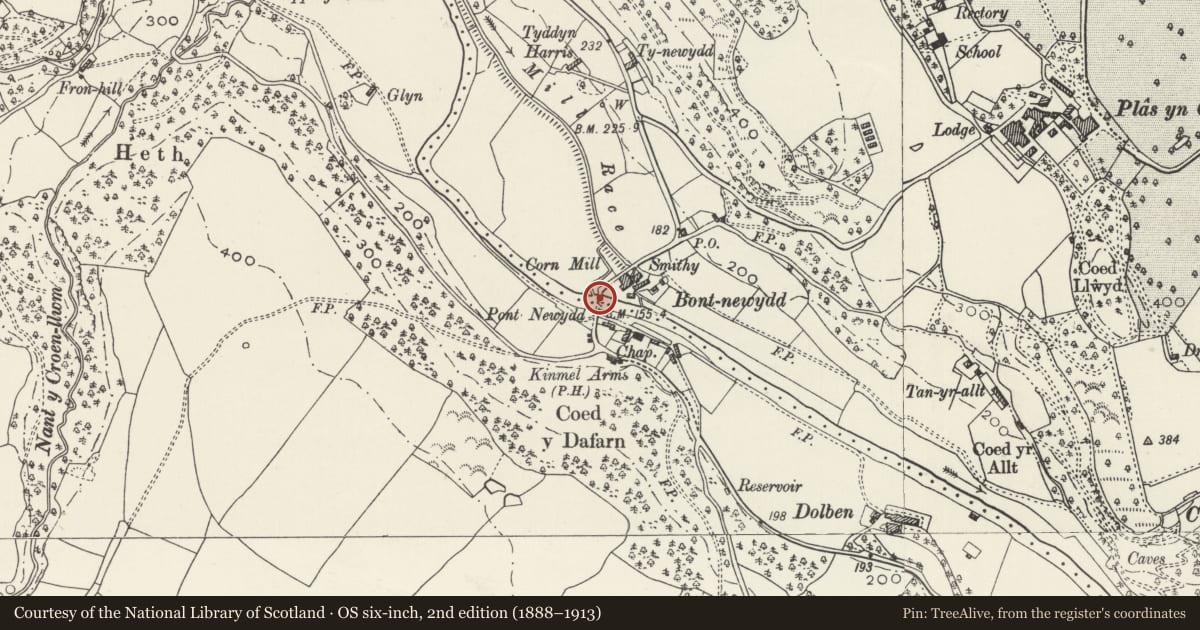 Ordnance Survey six-inch map, 2nd edition (1888–1913) covering the location of Bont Newydd (partly in Llannefydd community), Cefnmeiriadog, Denbighshire, with a pin at the register's coordinates