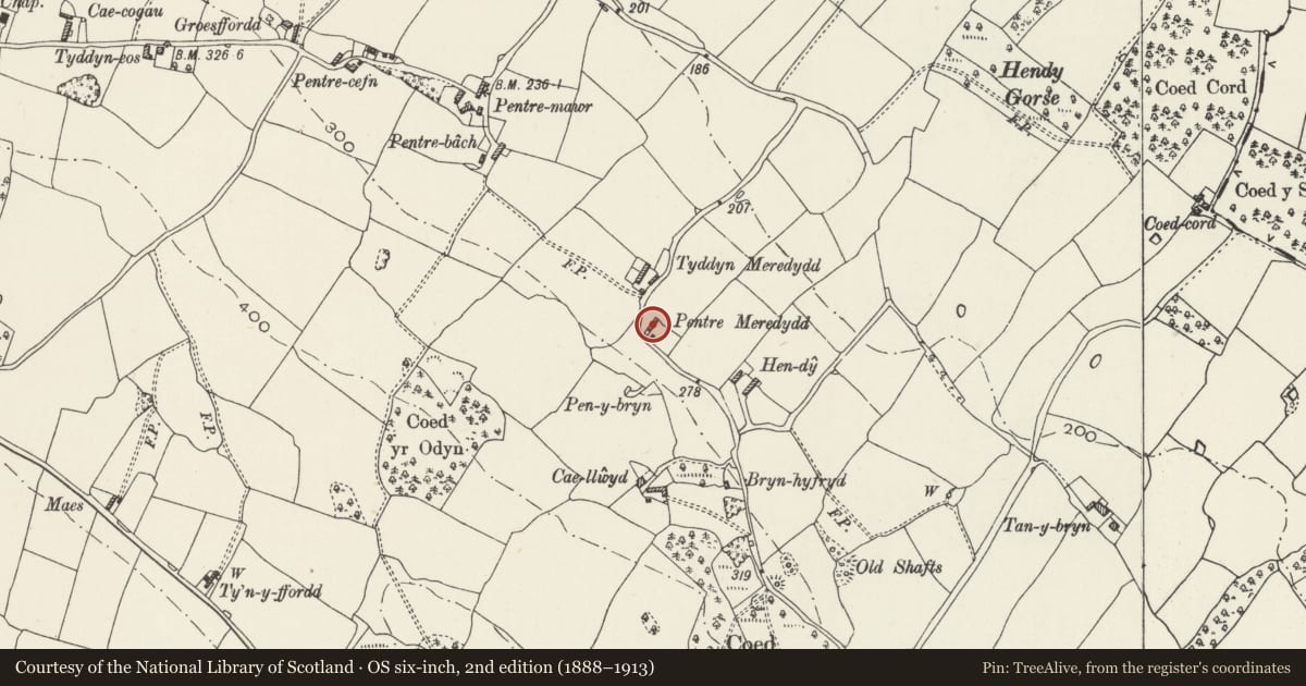 Ordnance Survey six-inch map, 2nd edition (1888–1913) covering the location of Pentre Meredydd, Cefnmeiriadog, Denbighshire, with a pin at the register's coordinates