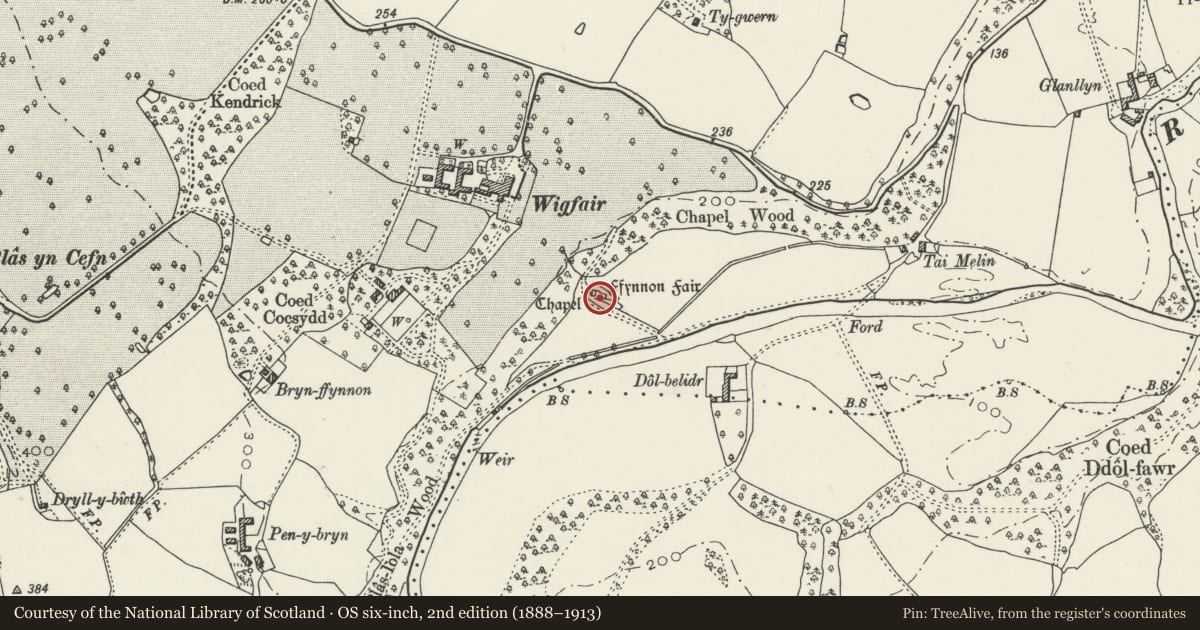 Ordnance Survey six-inch map, 2nd edition (1888–1913) covering the location of Ffynnon Fair, Cefnmeiriadog, Denbighshire, with a pin at the register's coordinates