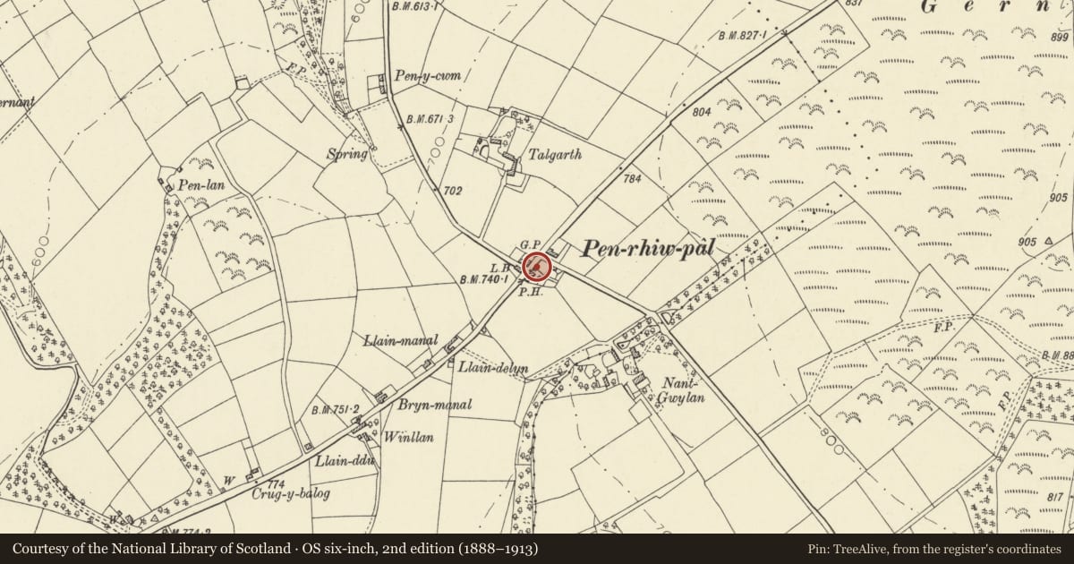 Ordnance Survey six-inch map, 2nd edition (1888–1913) covering the location of Cowhouse to L of Old Court House, Troedyraur, Ceredigion, with a pin at the register's coordinates