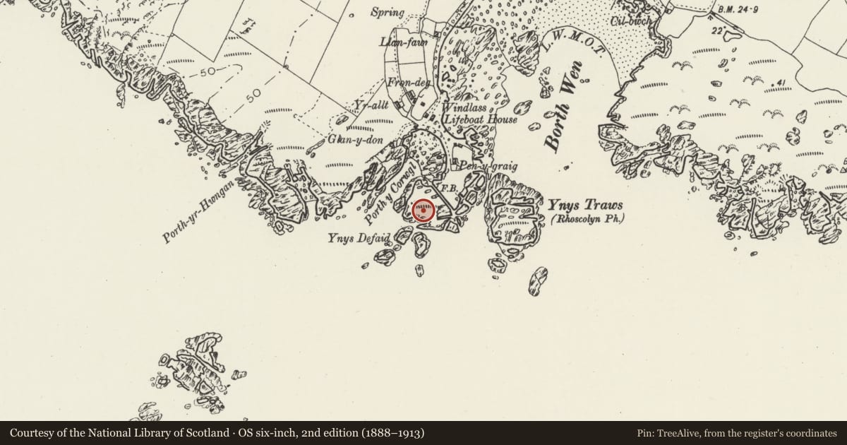 Ordnance Survey six-inch map, 2nd edition (1888–1913) covering the location of Rhoscolyn Lookout Station, Isle of Anglesey, with a pin at the register's coordinates