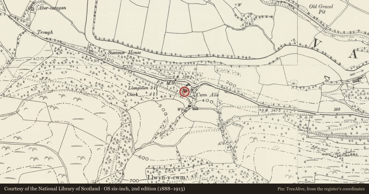 Ordnance Survey six-inch map, 2nd edition (1888–1913) covering the location of Cwm Alis, Llangollen, Denbighshire, with a pin at the register's coordinates