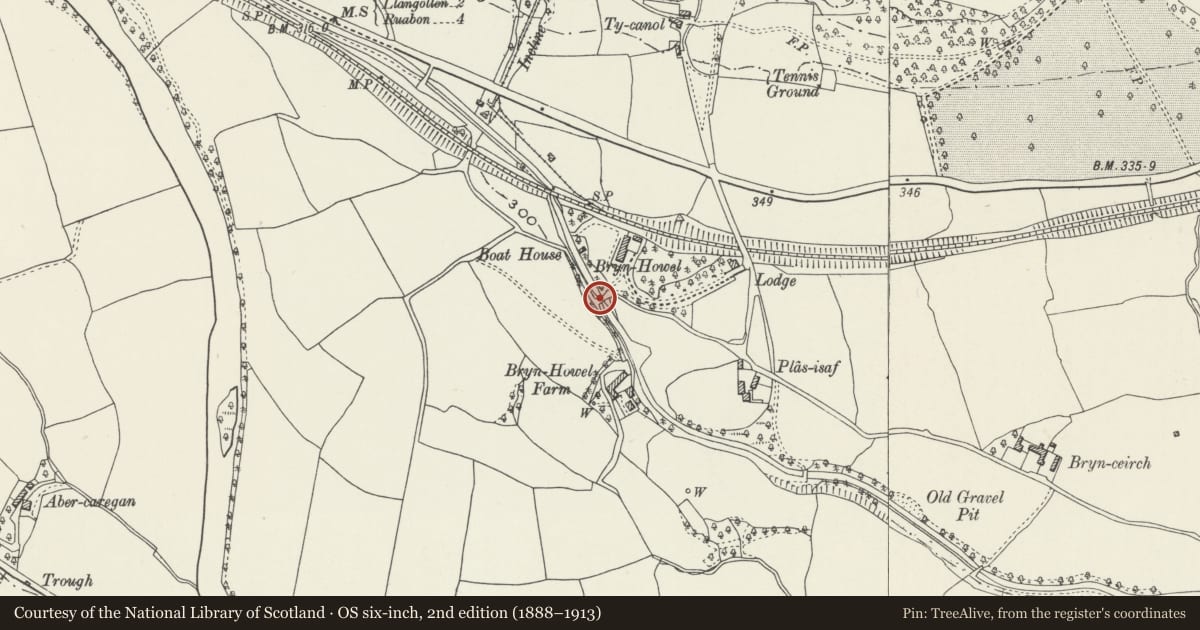 Ordnance Survey six-inch map, 2nd edition (1888–1913) covering the location of Bridge No. 38 over Llangollen canal, Denbighshire, with a pin at the register's coordinates