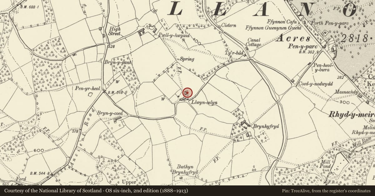 Ordnance Survey six-inch map, 2nd edition (1888–1913) covering the location of Llwyn-celyn, Goetre Fawr, Monmouthshire, with a pin at the register's coordinates