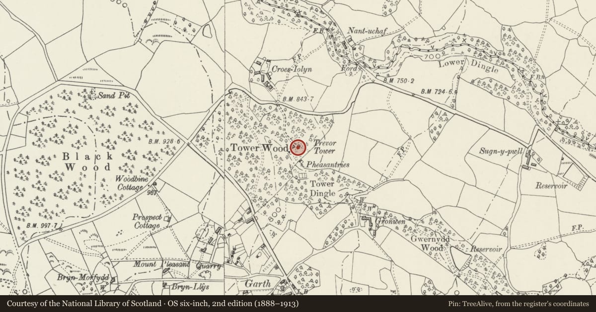 Ordnance Survey six-inch map, 2nd edition (1888–1913) covering the location of Trevor Tower, Llangollen Rural, Wrexham, with a pin at the register's coordinates
