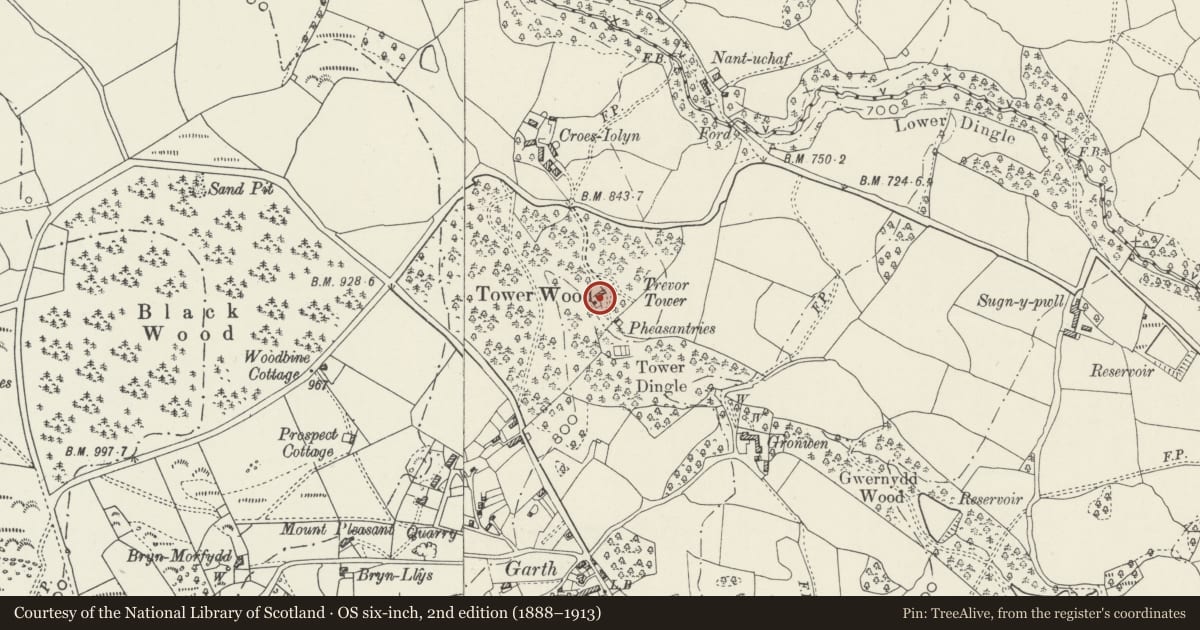 Ordnance Survey six-inch map, 2nd edition (1888–1913) covering the location of Trevor Tower Cottage, Llangollen Rural, Wrexham, with a pin at the register's coordinates