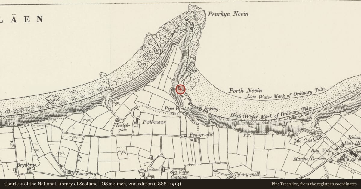 Ordnance Survey six-inch map, 2nd edition (1888–1913) covering the location of Hendafarn, Nefyn, Gwynedd, with a pin at the register's coordinates