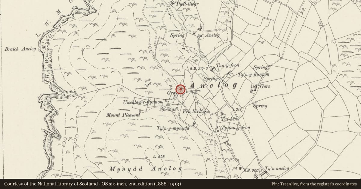 Ordnance Survey six-inch map, 2nd edition (1888–1913) covering the location of Graig, Aberdaron, Gwynedd, with a pin at the register's coordinates