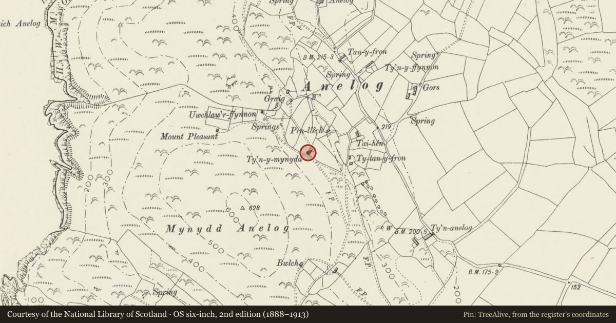Ordnance Survey six-inch map, 2nd edition (1888–1913) covering the location of Ty'n-y-mynydd, Aberdaron, Gwynedd, with a pin at the register's coordinates