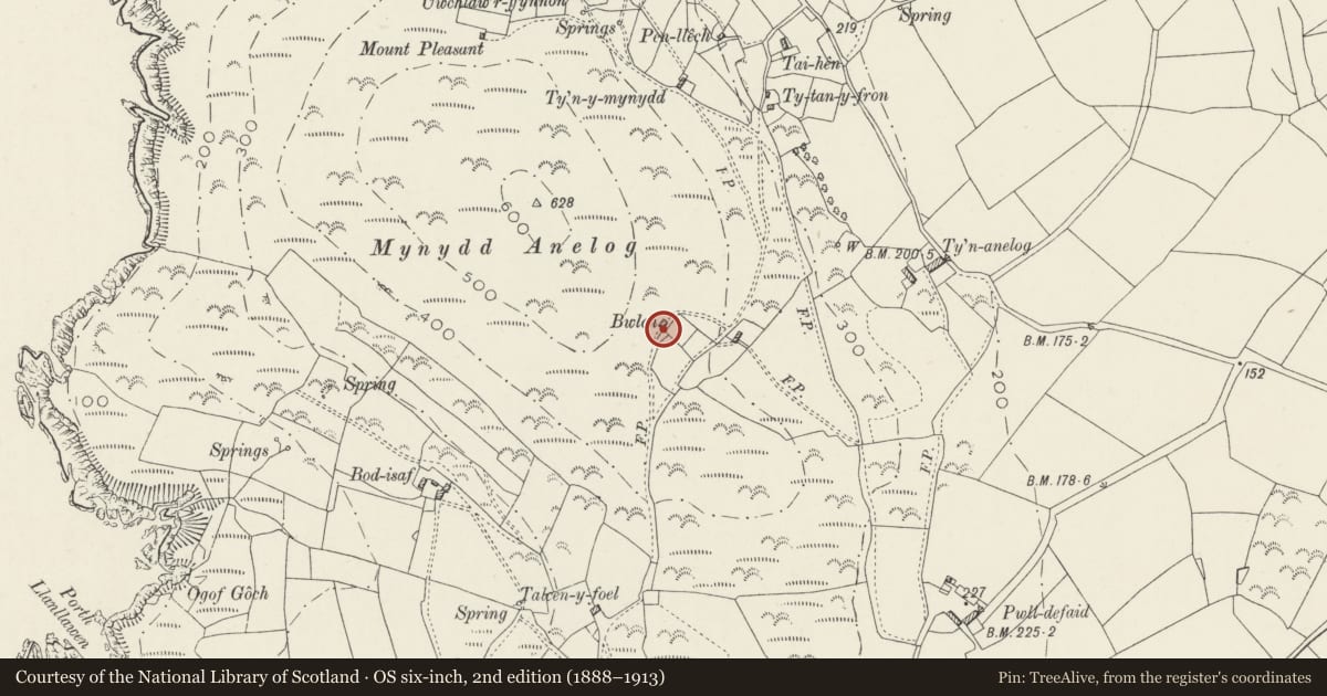 Ordnance Survey six-inch map, 2nd edition (1888–1913) covering the location of Bwlch Uchaf, Aberdaron, Gwynedd, with a pin at the register's coordinates