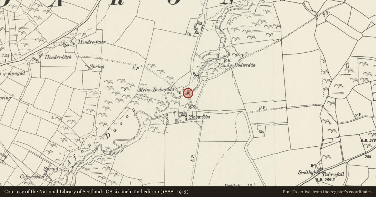 Ordnance Survey six-inch map, 2nd edition (1888–1913) covering the location of Bridge at Bodwrdda, Aberdaron, Gwynedd, with a pin at the register's coordinates