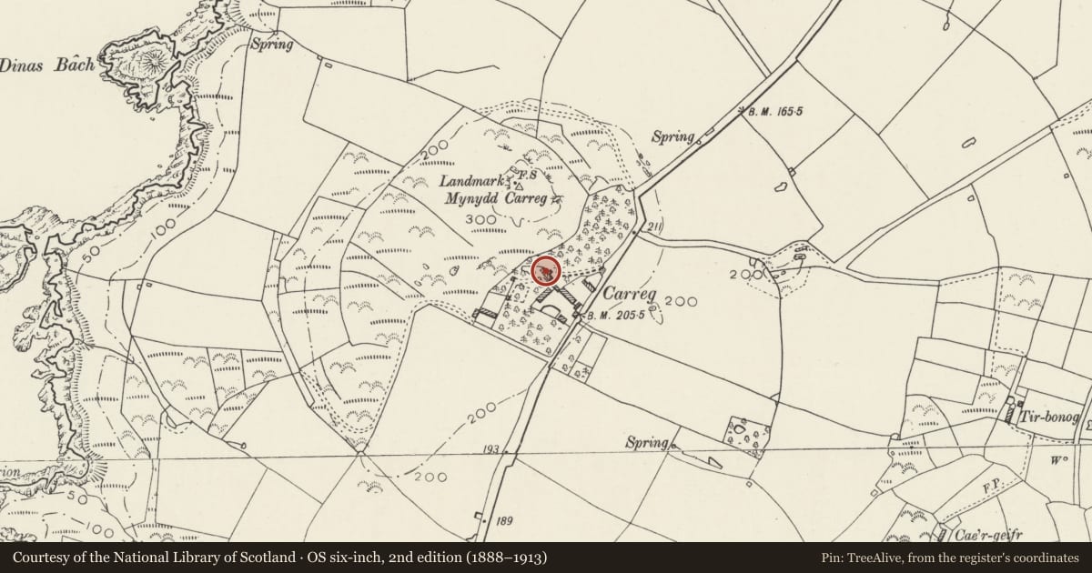 Ordnance Survey six-inch map, 2nd edition (1888–1913) covering the location of Carreg Plas, Aberdaron, Gwynedd, with a pin at the register's coordinates