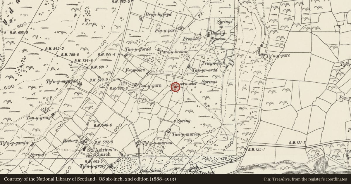Ordnance Survey six-inch map, 2nd edition (1888–1913) covering the location of Gwernsaer, Aberdaron, Gwynedd, with a pin at the register's coordinates
