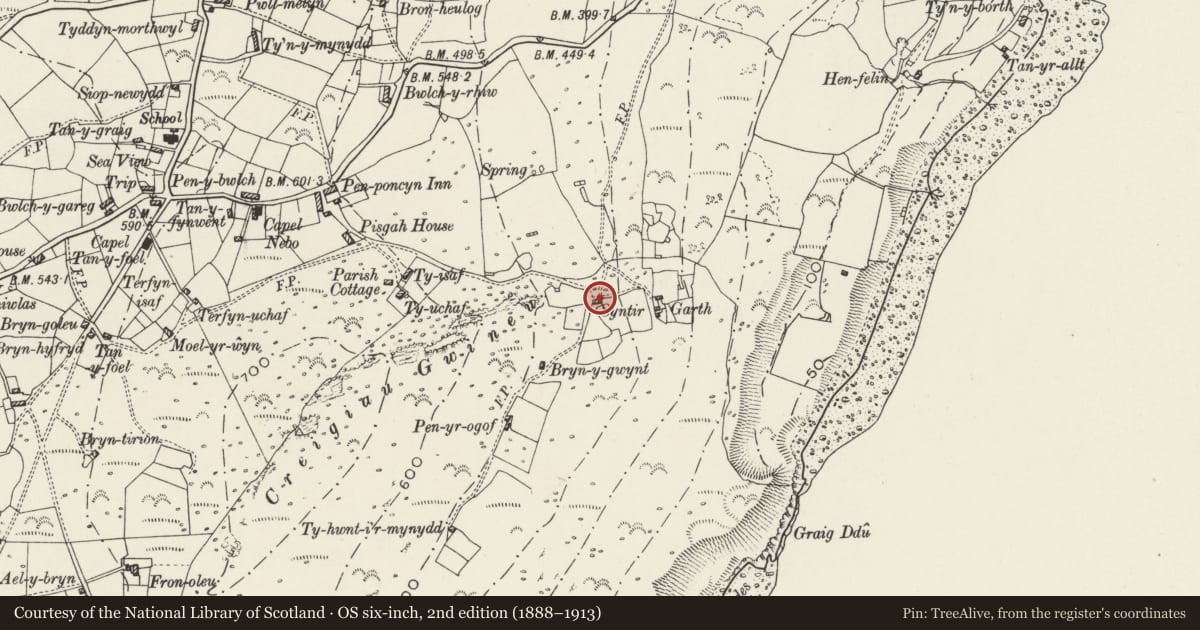Ordnance Survey six-inch map, 2nd edition (1888–1913) covering the location of Syntir, Aberdaron, Gwynedd, with a pin at the register's coordinates