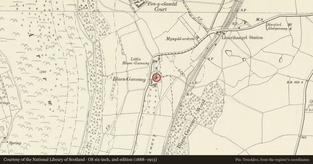 Ordnance Survey six-inch map, 2nd edition (1888–1913) covering the location of Blaengavenny Farmhouse, Crucorney, Monmouthshire, with a pin at the register's coordinates
