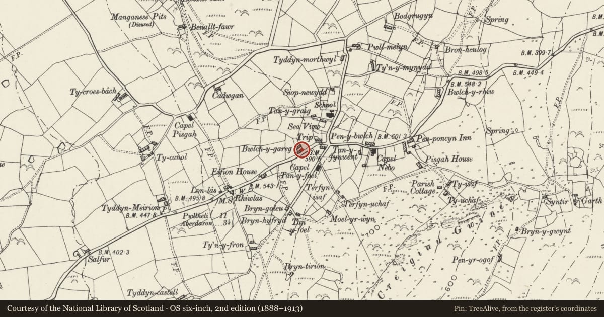 Ordnance Survey six-inch map, 2nd edition (1888–1913) covering the location of Goose-shelter at Bwlch-y-garreg, Aberdaron, Gwynedd, with a pin at the register's coordinates