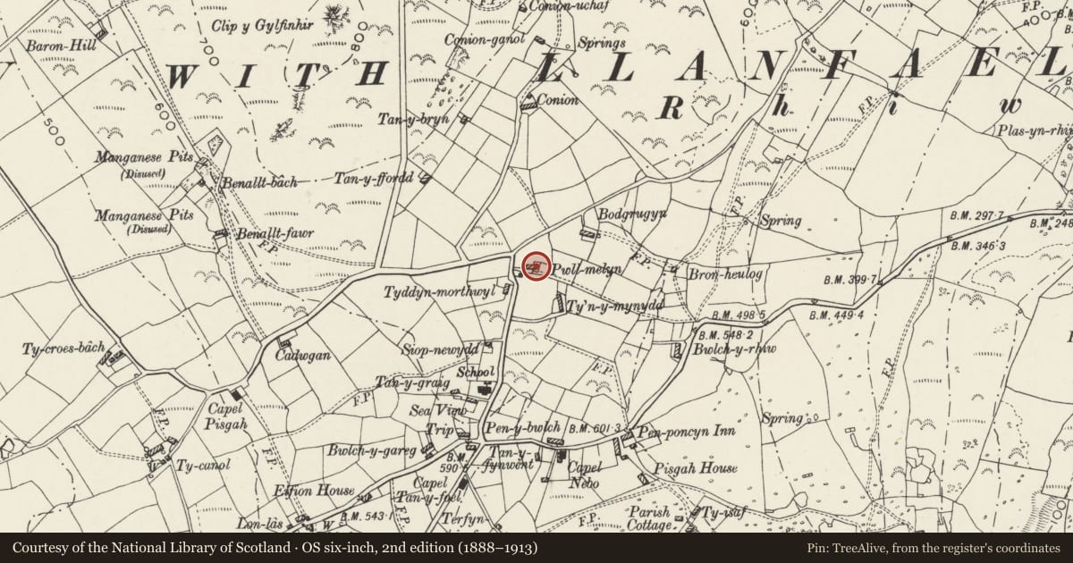 Ordnance Survey six-inch map, 2nd edition (1888–1913) covering the location of Pwllmelyn, Aberdaron, Gwynedd, with a pin at the register's coordinates