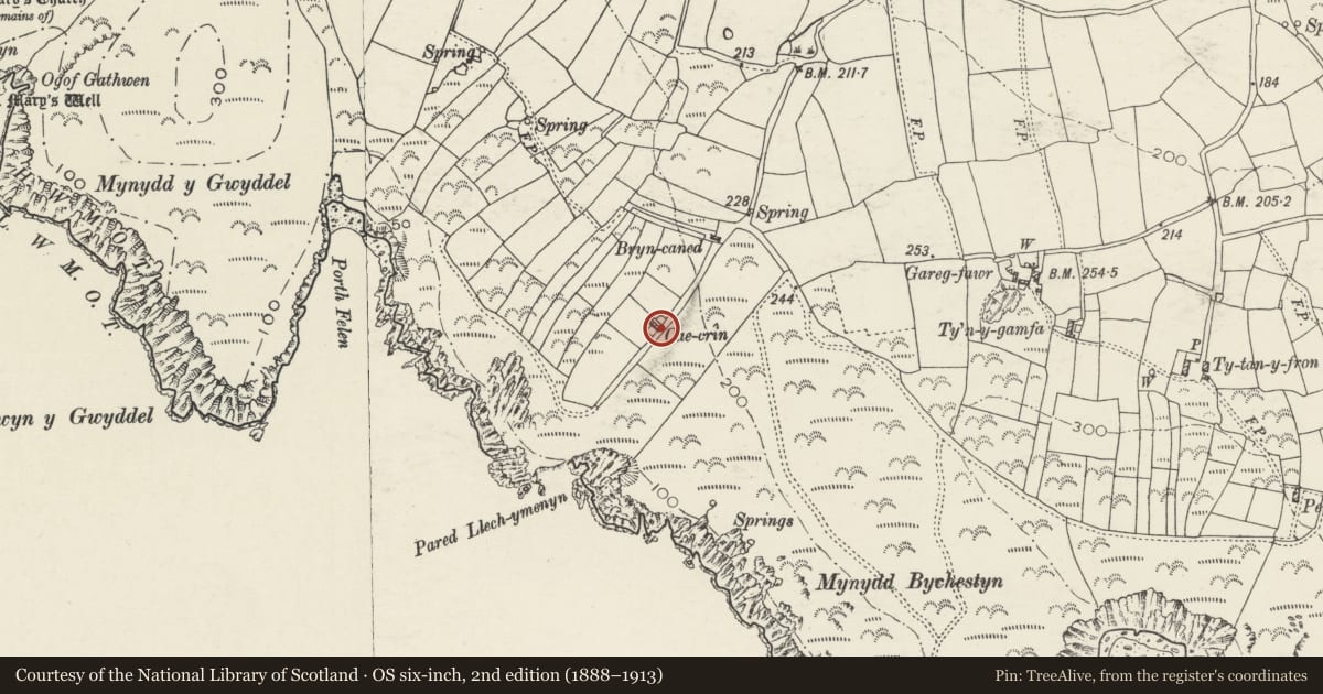 Ordnance Survey six-inch map, 2nd edition (1888–1913) covering the location of Cae-crin, Aberdaron, Gwynedd, with a pin at the register's coordinates