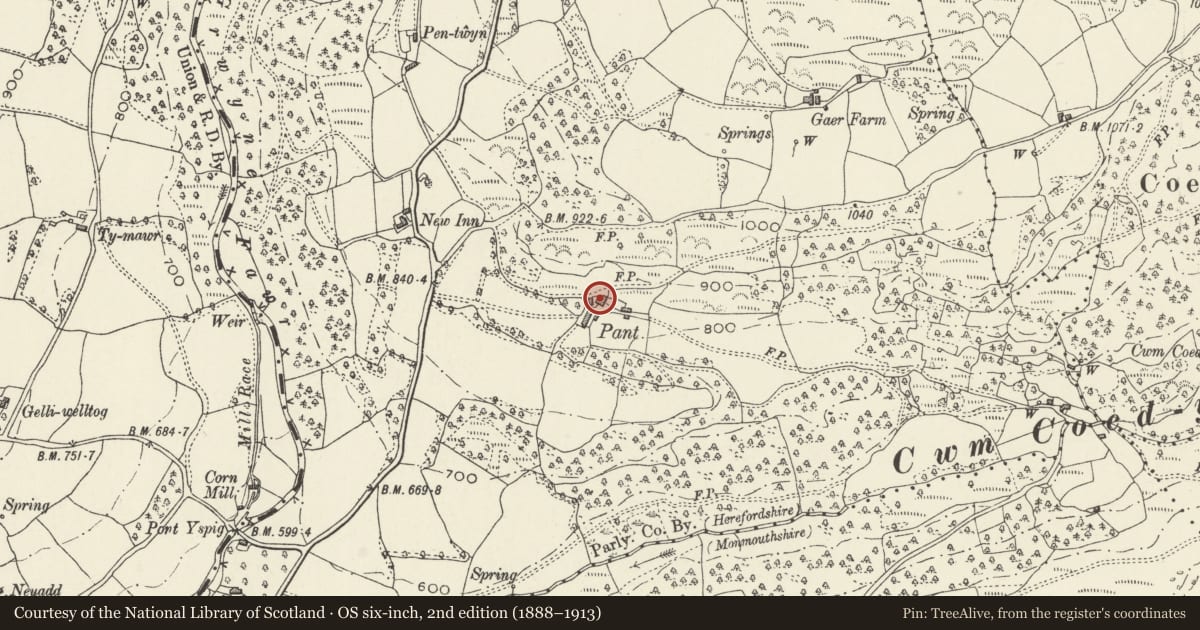 Ordnance Survey six-inch map, 2nd edition (1888–1913) covering the location of The Pant, Crucorney, Monmouthshire, with a pin at the register's coordinates