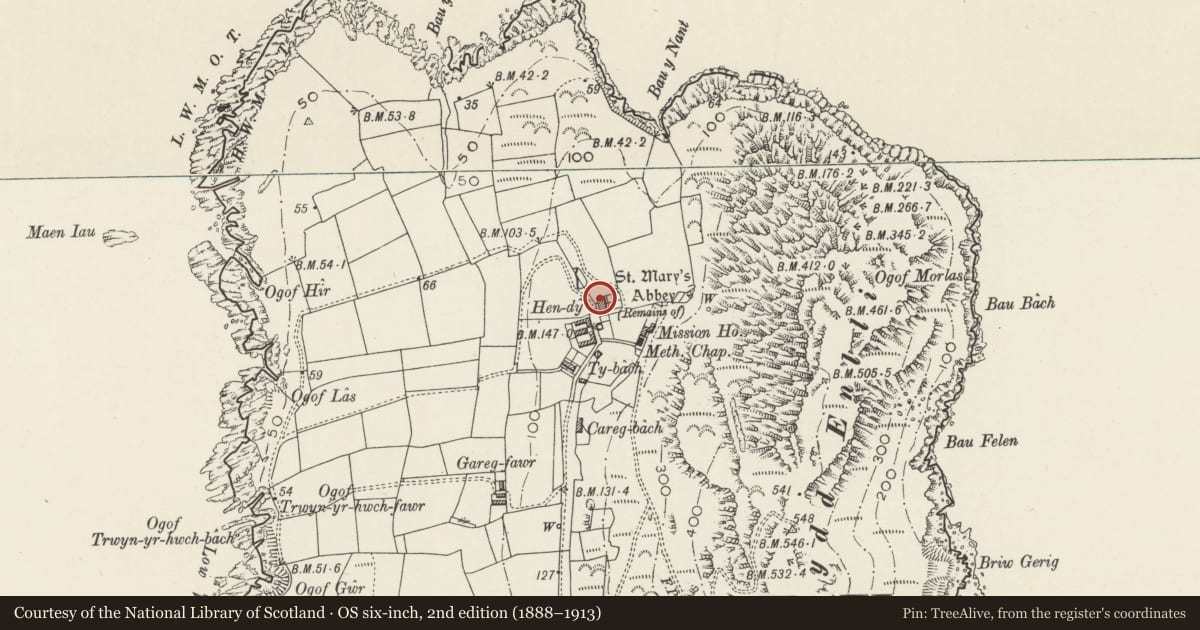 Ordnance Survey six-inch map, 2nd edition (1888–1913) covering the location of Boundary Walls to Hendy and Ty Nant, Aberdaron, Gwynedd, with a pin at the register's coordinates