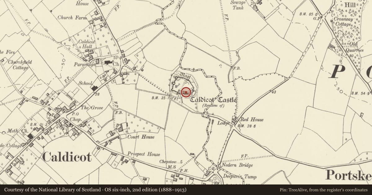 Ordnance Survey six-inch map, 2nd edition (1888–1913) covering the location of Caldicot Castle, Monmouthshire, with a pin at the register's coordinates