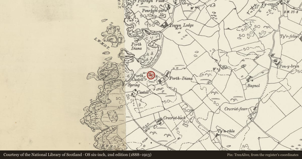 Ordnance Survey six-inch map, 2nd edition (1888–1913) covering the location of Avilion, Trearddur, Isle of Anglesey, with a pin at the register's coordinates