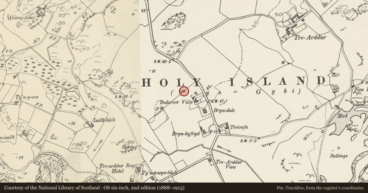 Ordnance Survey six-inch map, 2nd edition (1888–1913) covering the location of Cae Grugog, Trearddur, Isle of Anglesey, with a pin at the register's coordinates