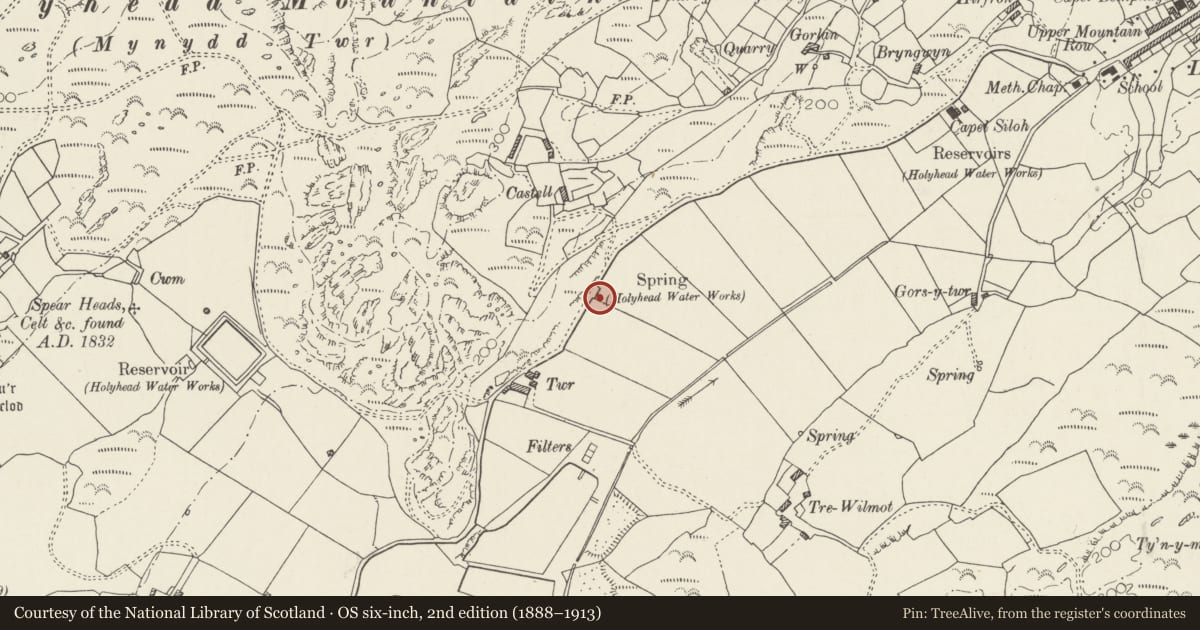 Ordnance Survey six-inch map, 2nd edition (1888–1913) covering the location of Ffynnon y Wrach, Trearddur, Isle of Anglesey, with a pin at the register's coordinates