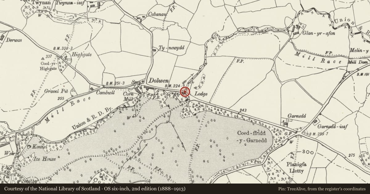 Ordnance Survey six-inch map, 2nd edition (1888–1913) covering the location of Dolwen Bridge, Betws Yn Rhos, Conwy, with a pin at the register's coordinates