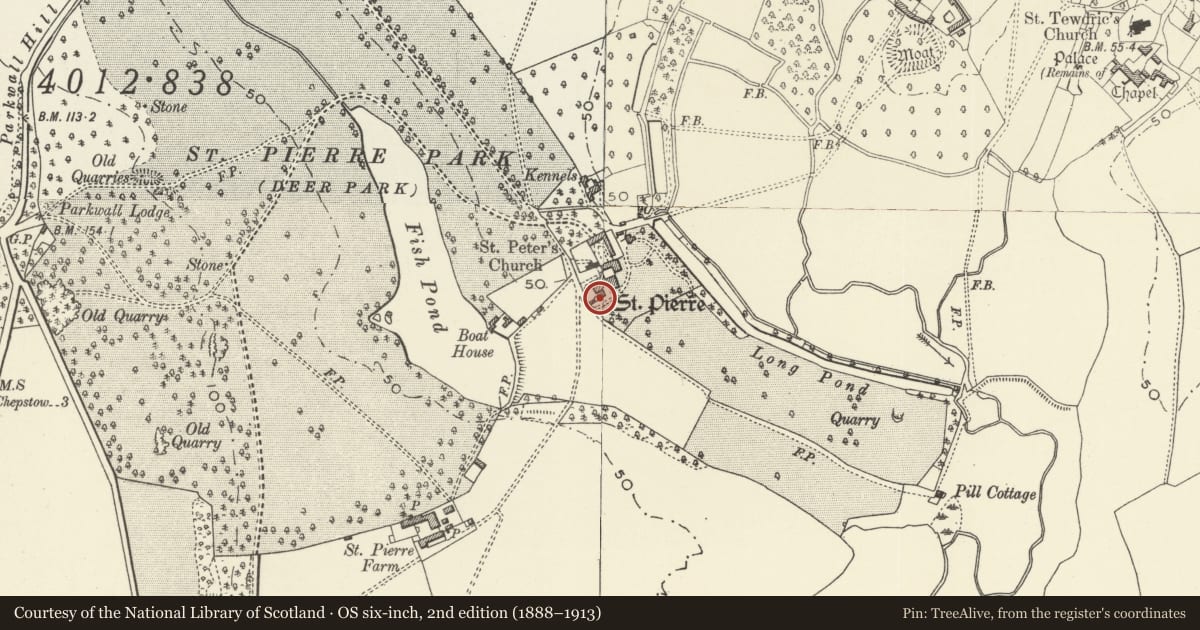 Ordnance Survey six-inch map, 2nd edition (1888–1913) covering the location of St Pierre Hotel, Mathern, Monmouthshire, with a pin at the register's coordinates
